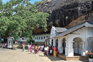 dambulla5