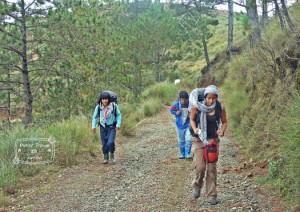 Pulag