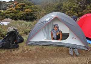 pulag4