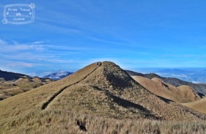 pulag10