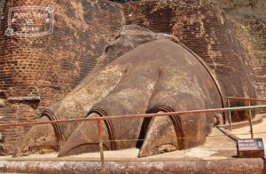 sigiriya11