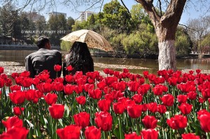 Green Lake Park, Kunming, Yunnan, China