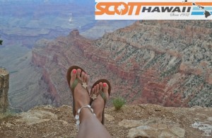 scott1